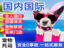 丹霞机场快递国际宠物托运 【国